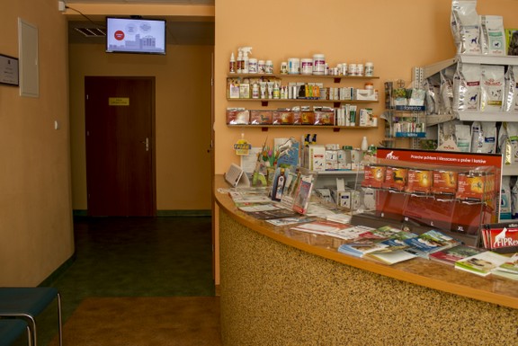 Recepcja i poczekalnia przychodni