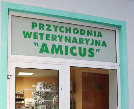 Wejście do przychodni Amicus